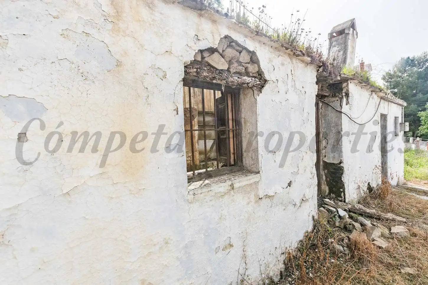 House with garden for sale in Sayalonga, imagen 3