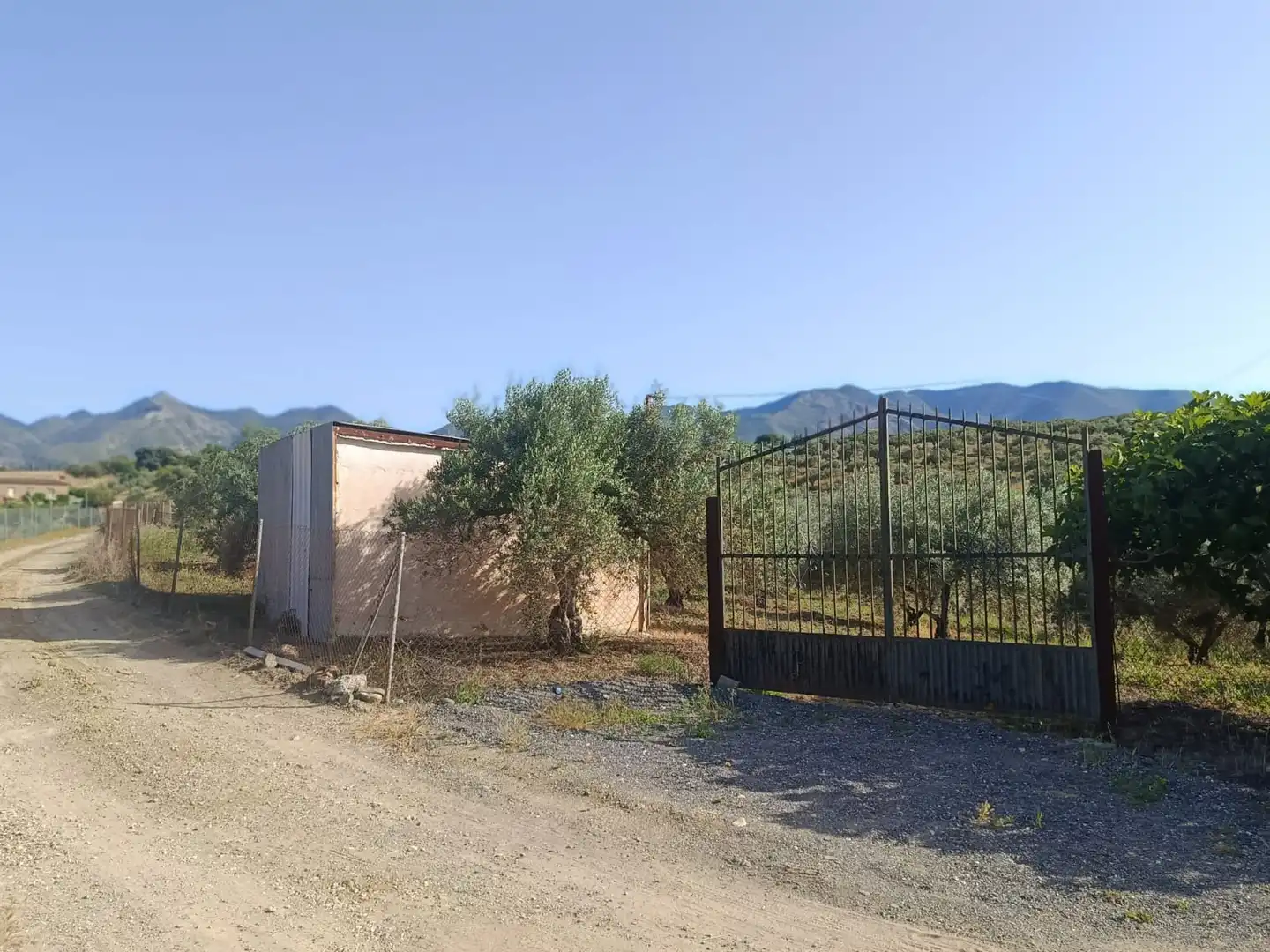 Terreni e lotti in vendita a Alquería - Torrealquería, imagen 16