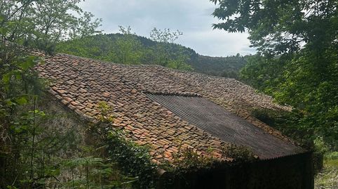 Finca singular de 16 hectáreas