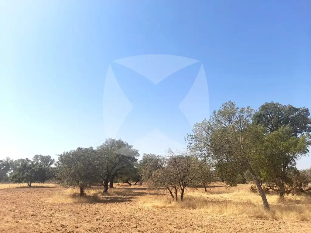 Terreni e lotti in vendita a Diseminados Botoa