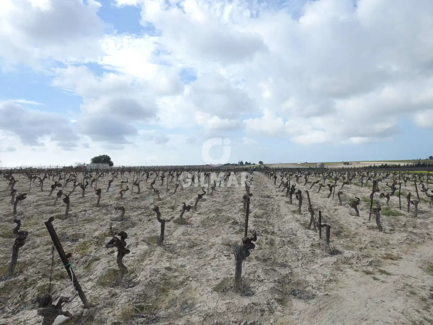 Rustikales Grundstück zum Verkauf in Ctra Jerez - Ctra del Puerto, imagen 10