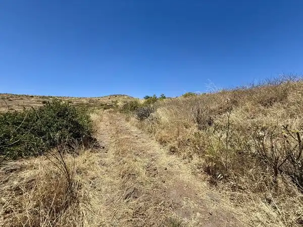 Industrial land for sale in La Pardilla - San Antonio