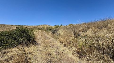Photo 5 of Industrial land for sale in La Pardilla - San Antonio, Telde