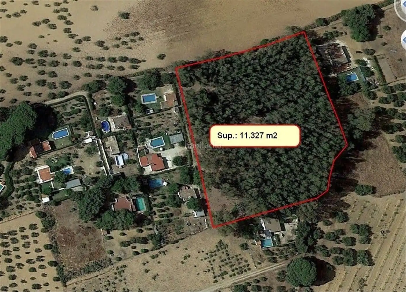 Terreno rustico in vendita a Diseminado Diseminados 38, imagen 2