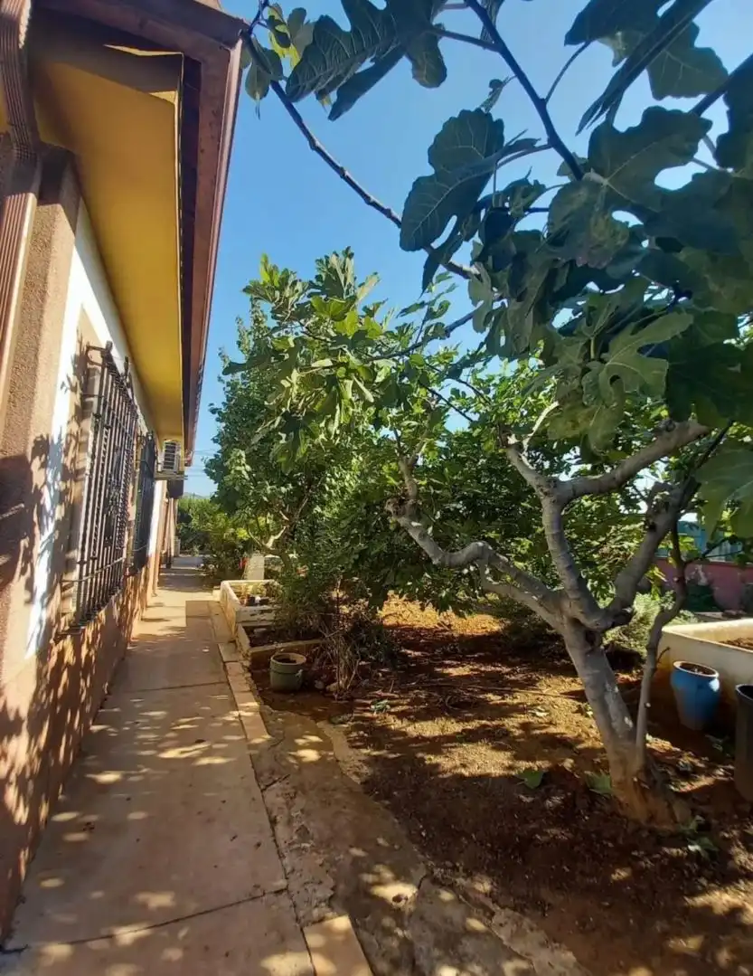 Jardí de Casa o xalet en venda en Córdoba amb Traster