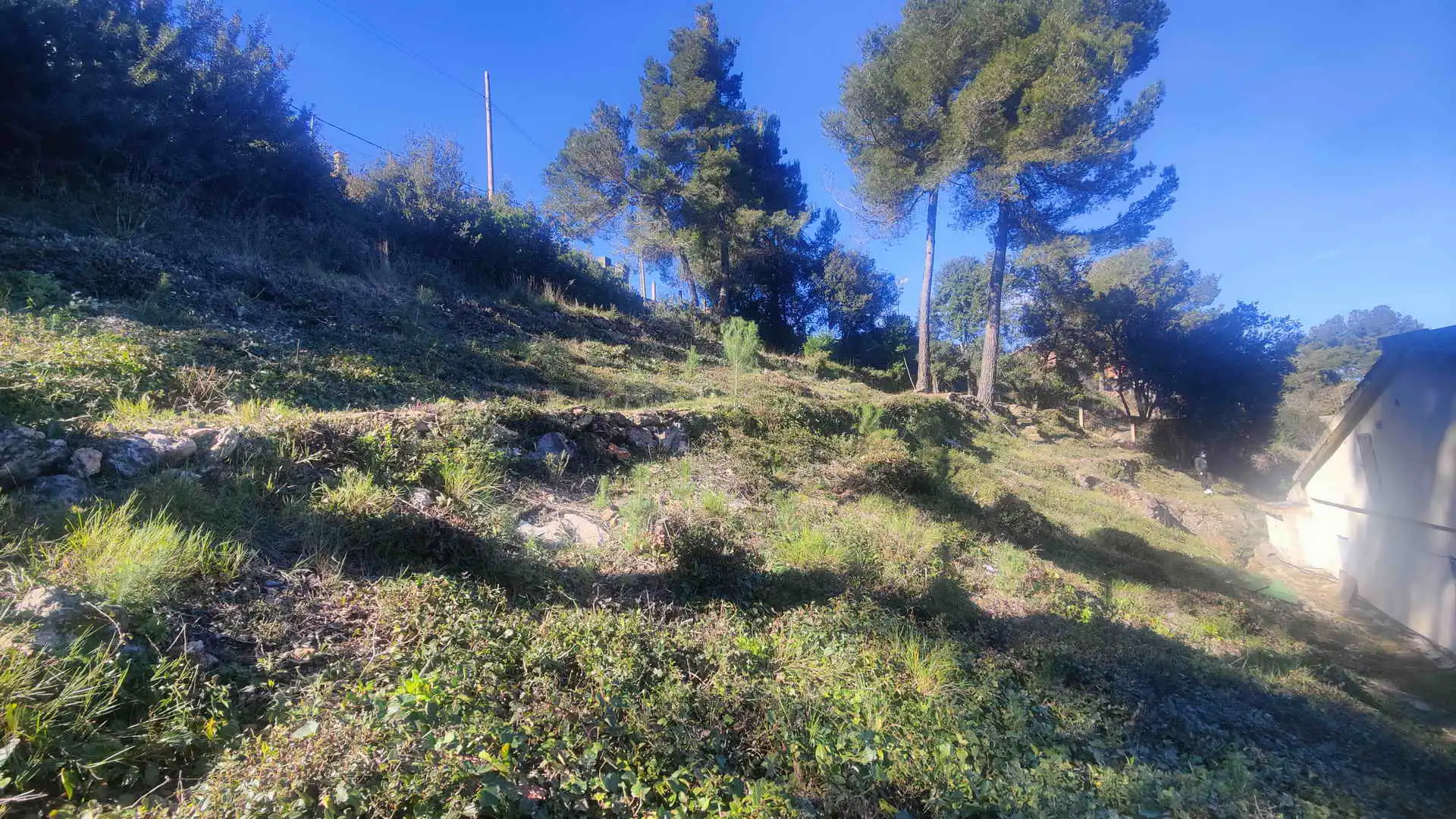 Casa con giardino in vendita a Olesa de Bonesvalls, imagen 4