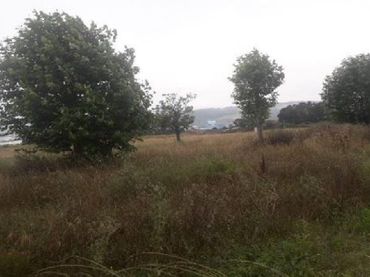 Terreno residencial en venta en Penamoa (sud-2)