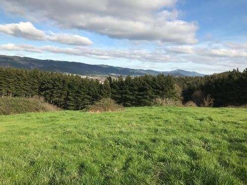 Grundstücke zum verkauf in Derio
