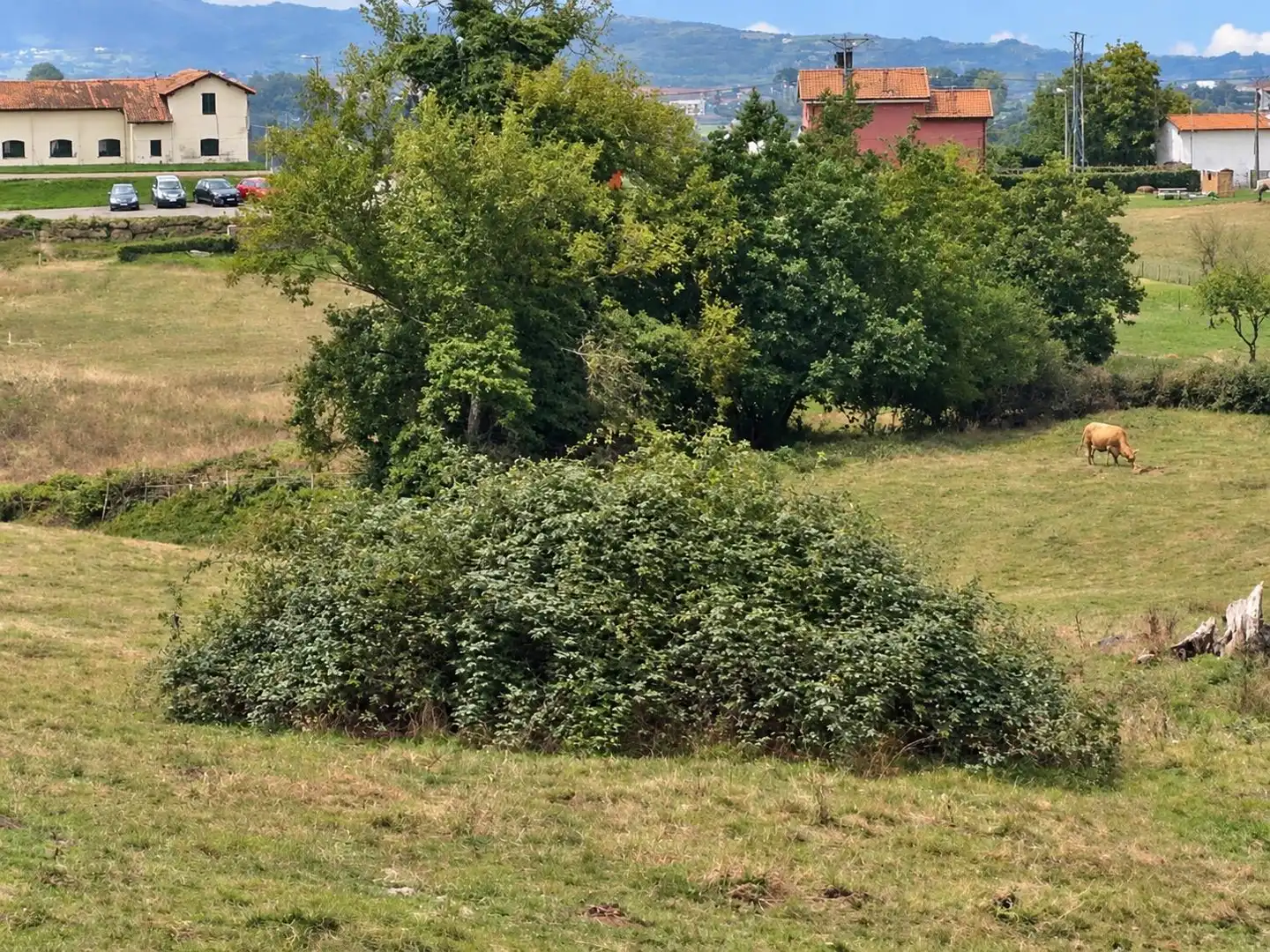 Wohnbaugrundstück zum Verkauf in La Pola de Siero 58, imagen 4