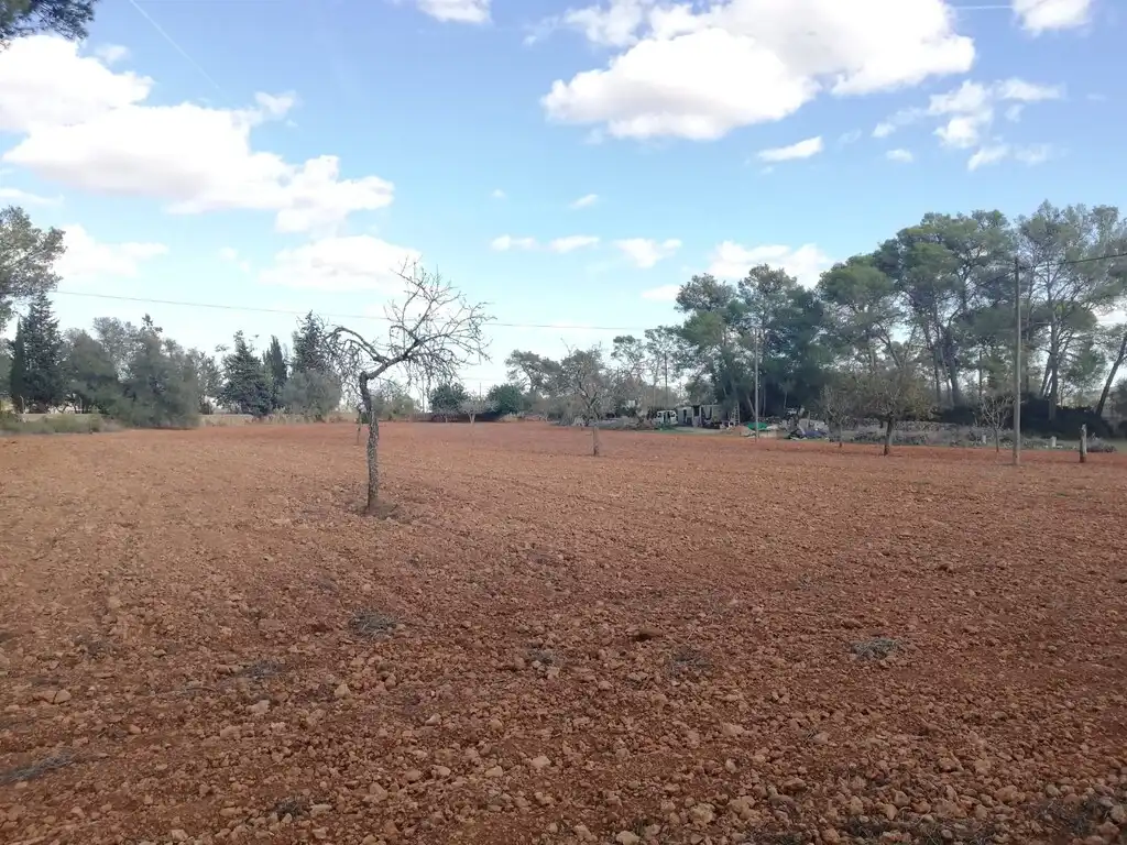 Terreno rustico in vendita a Algaida, imagen 12