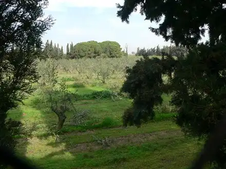 Terreny rústic en venda a Ptda Las Canals - Las Teclas -, imagen 9