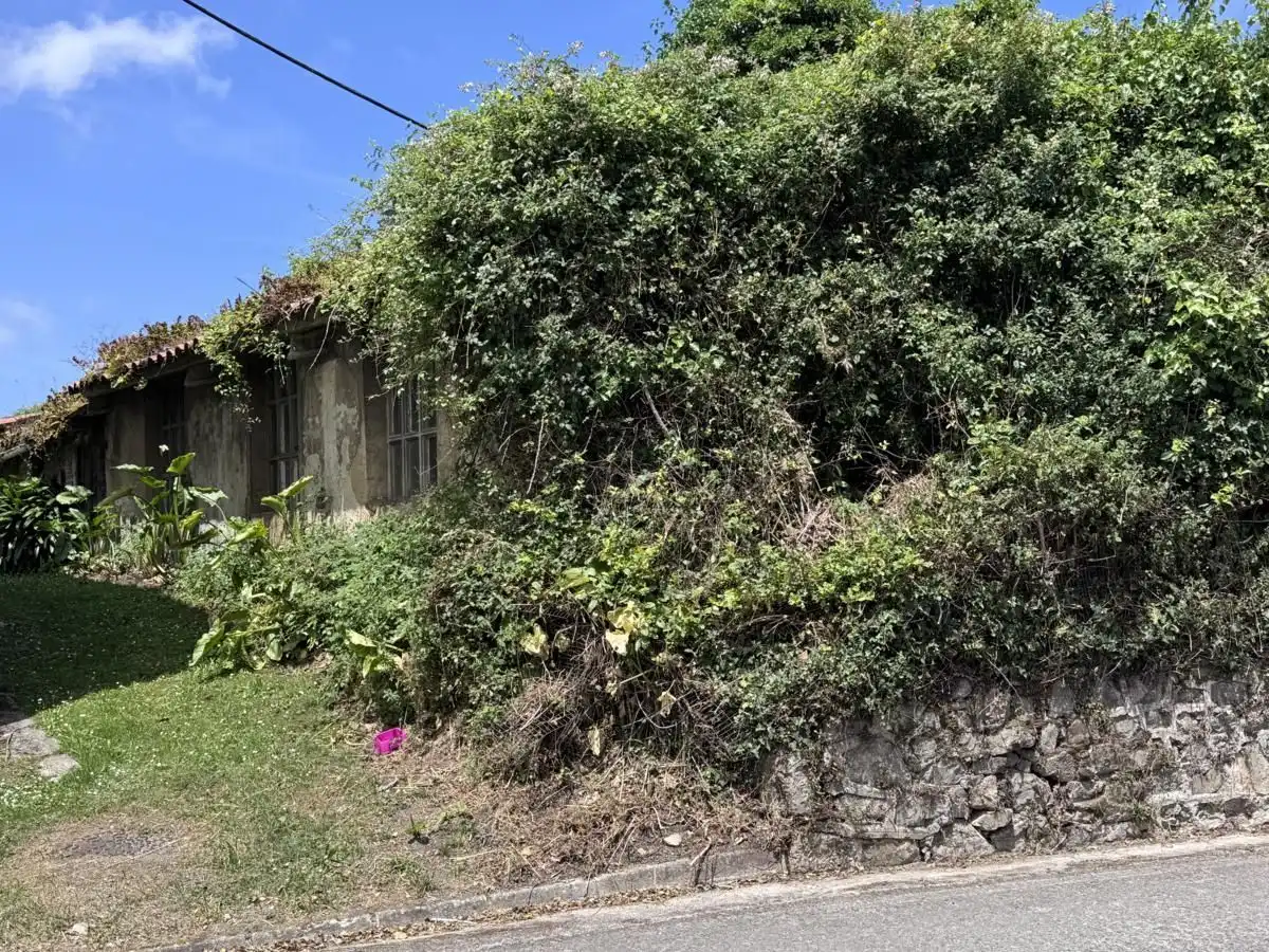 Vista exterior de Casa adosada en venta en Llanes con Calefacción, Jardín privado y Terraza