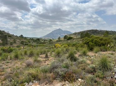 Terreny residencial en venda a Hondón de las Nieves / El Fondó de les Neus