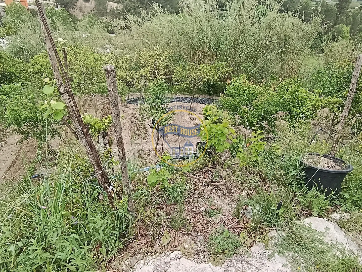 Houses for sale in Ontinyent