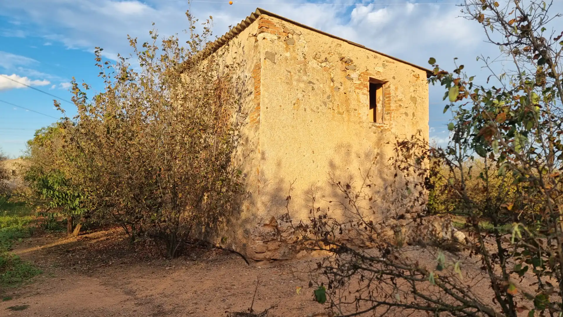 Vista exterior de Terreno en venta en Vilallonga del Camp