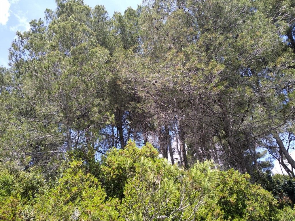 Residencial en venda en Potries