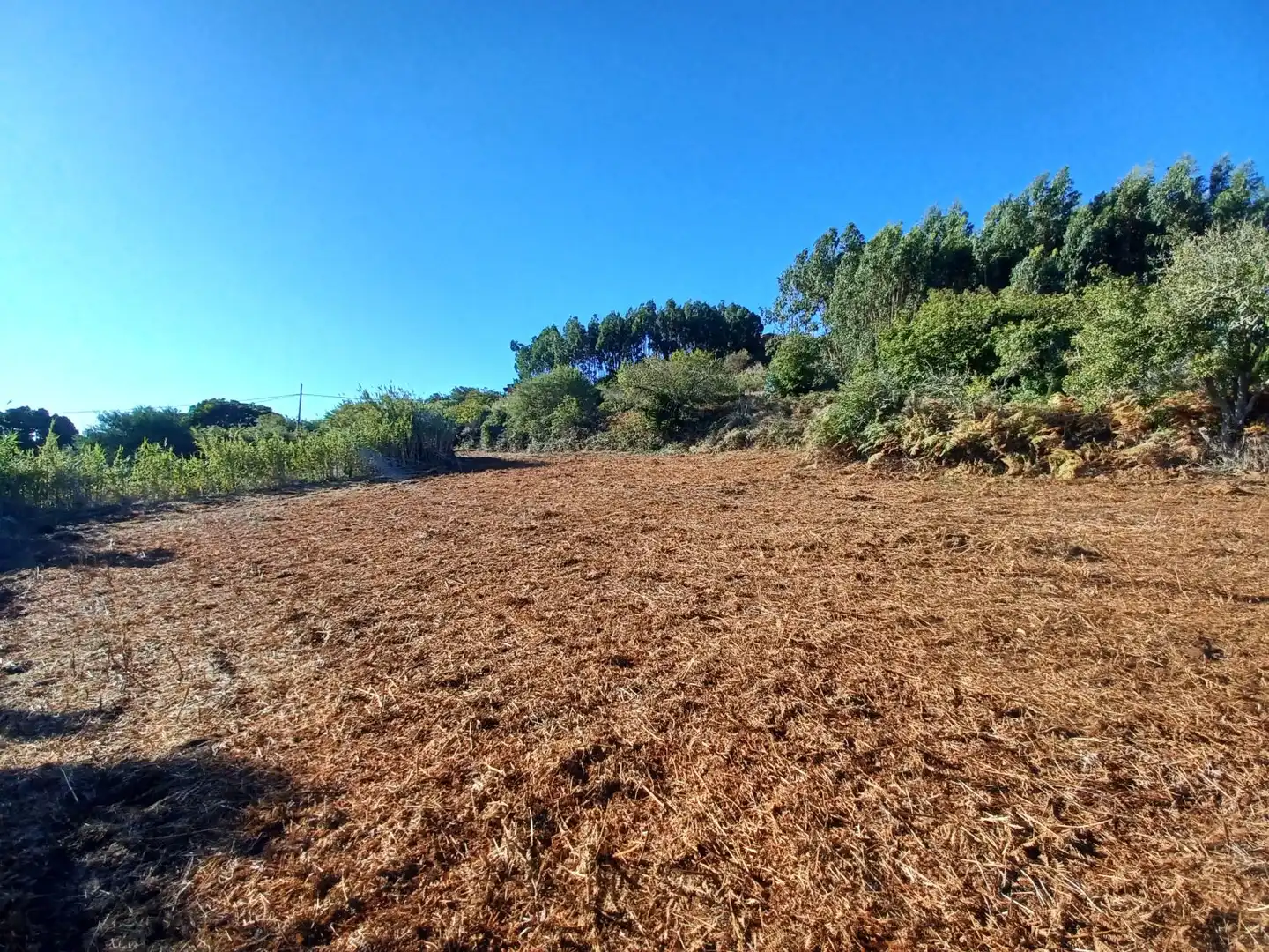 Terrenys i solars en venda a La Esperanza - Llano del Moro, imagen 5