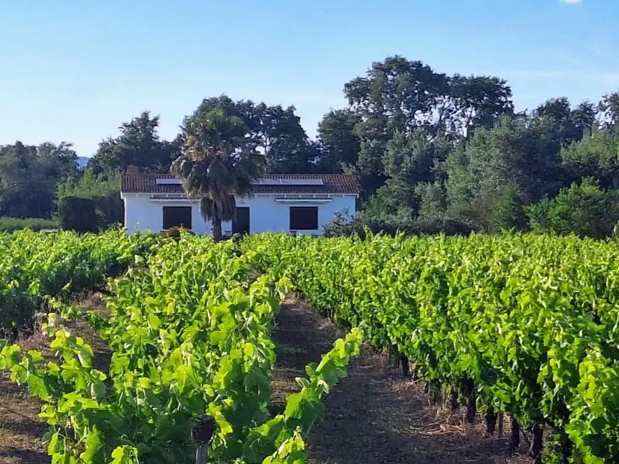 Jardí de Casa o xalet en venda en Ginestar, Tarragona