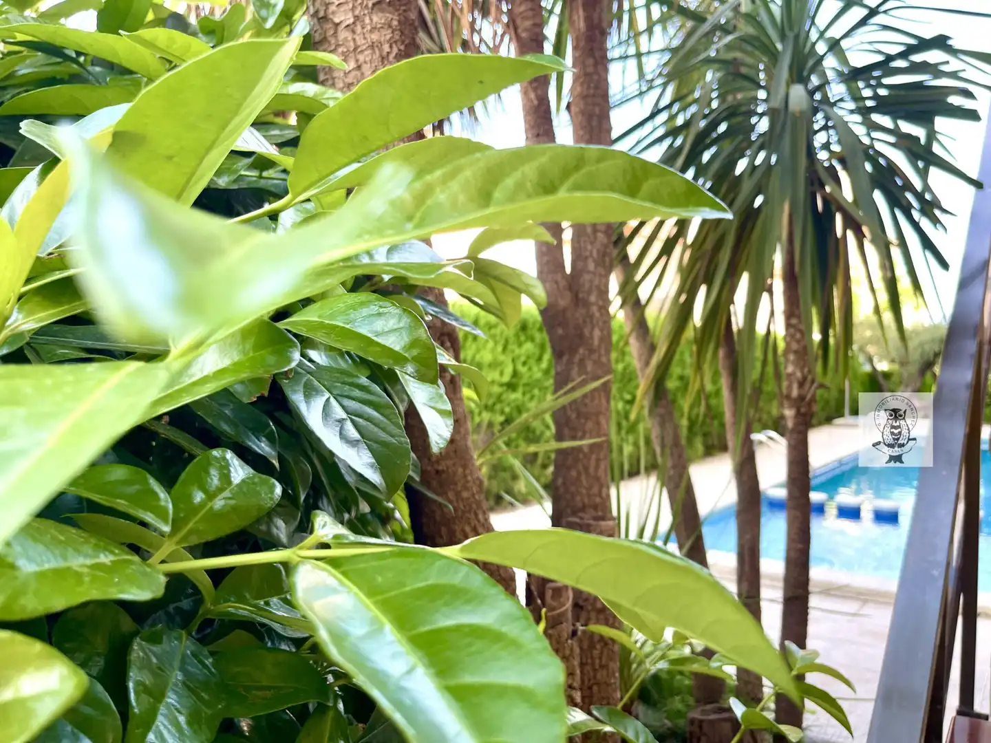 Jardí de Planta baixa en venda en Cambrils amb Jardí privat, Terrassa i Traster