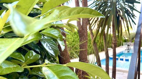 Photo 5 of Planta baja for sale in Els Esquirols, Tarragona