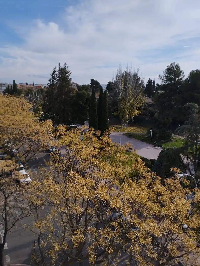 Piso con ascensor en venta en Madrilas, imagen 16