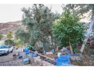 Vista exterior de Finca rústica en venta en San Bartolomé de Tirajana con Jardín privado y Terraza