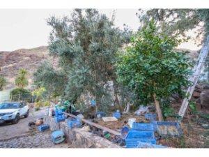 Foto 4 de Finca rústica en venda a Calle San José, San Bartolomé Interior, Las Palmas