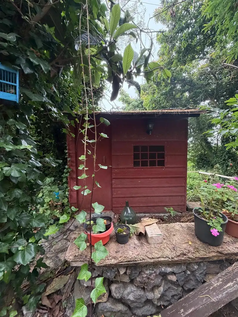 Terreno rustico in vendita a El Bebedero - Pinolere - Aguamansa, imagen 56