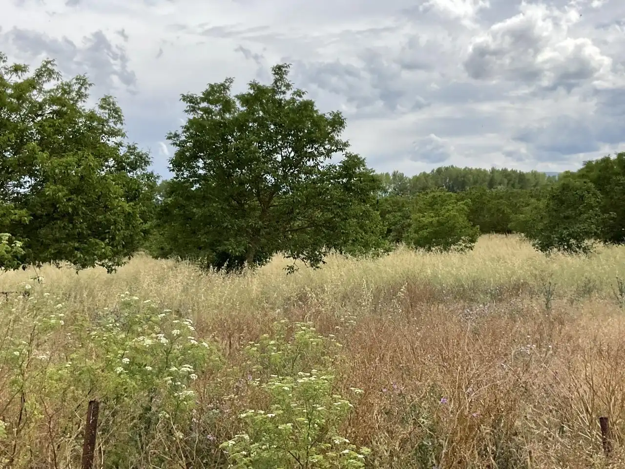Nave industrial en venta en Villalobar de Rioja