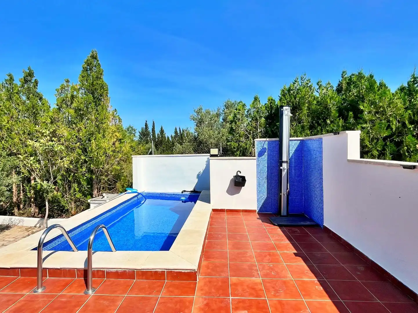 Piscina de Casa o chalet en venta en La Sénia con Piscina
