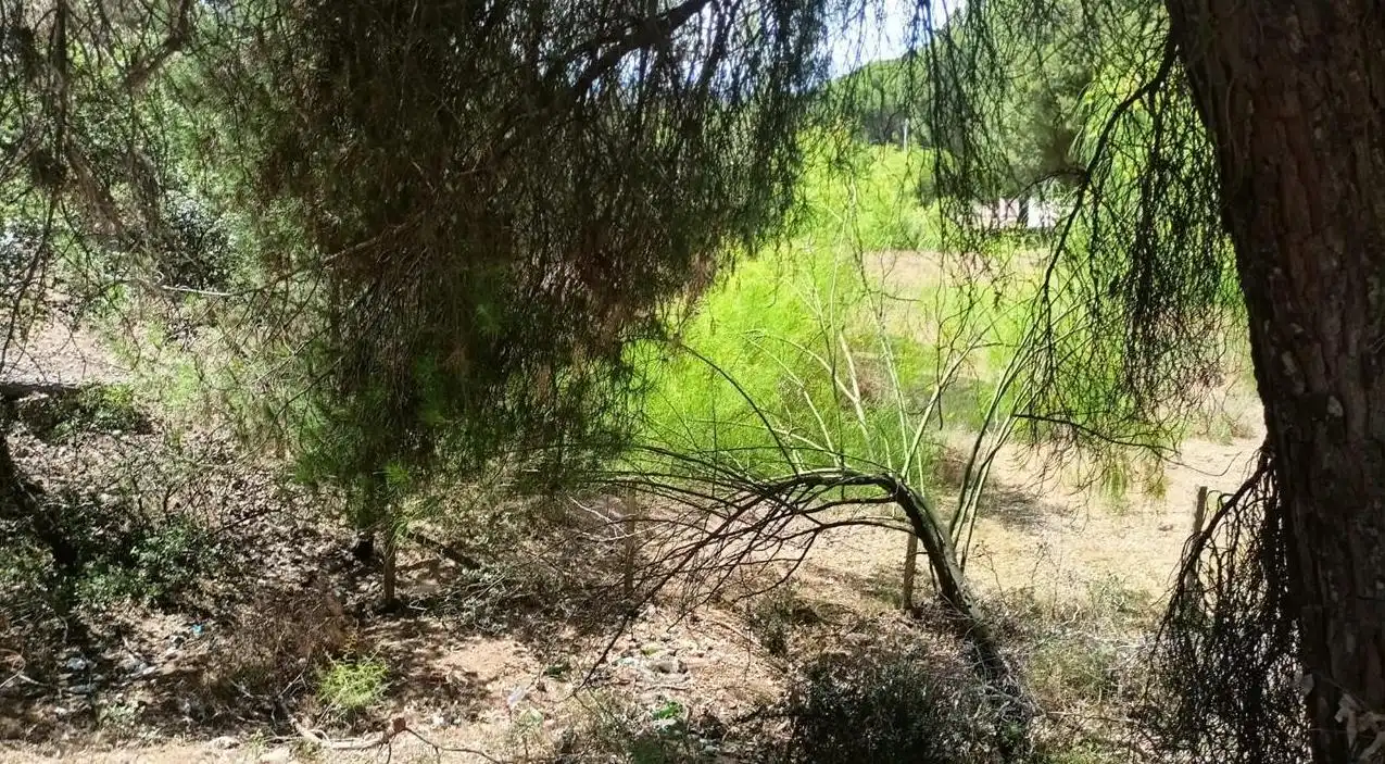 Lands and plots for sale in Campamento, imagen 3