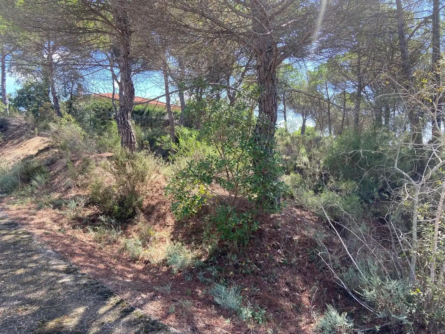 Terrenos y solares en venta en La Goba