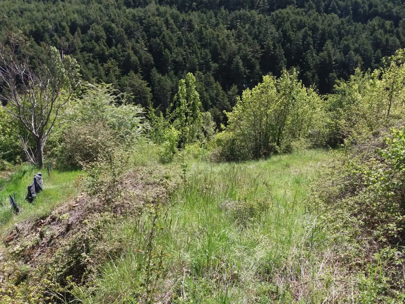 Terreno en venta en Yésero