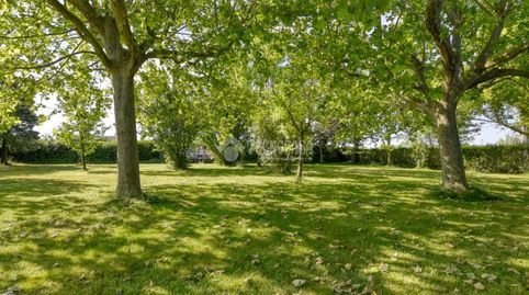 Foto 5 de Casa o chalet en venta en Paraje Tejugueras, Calvarrasa de Abajo, Salamanca