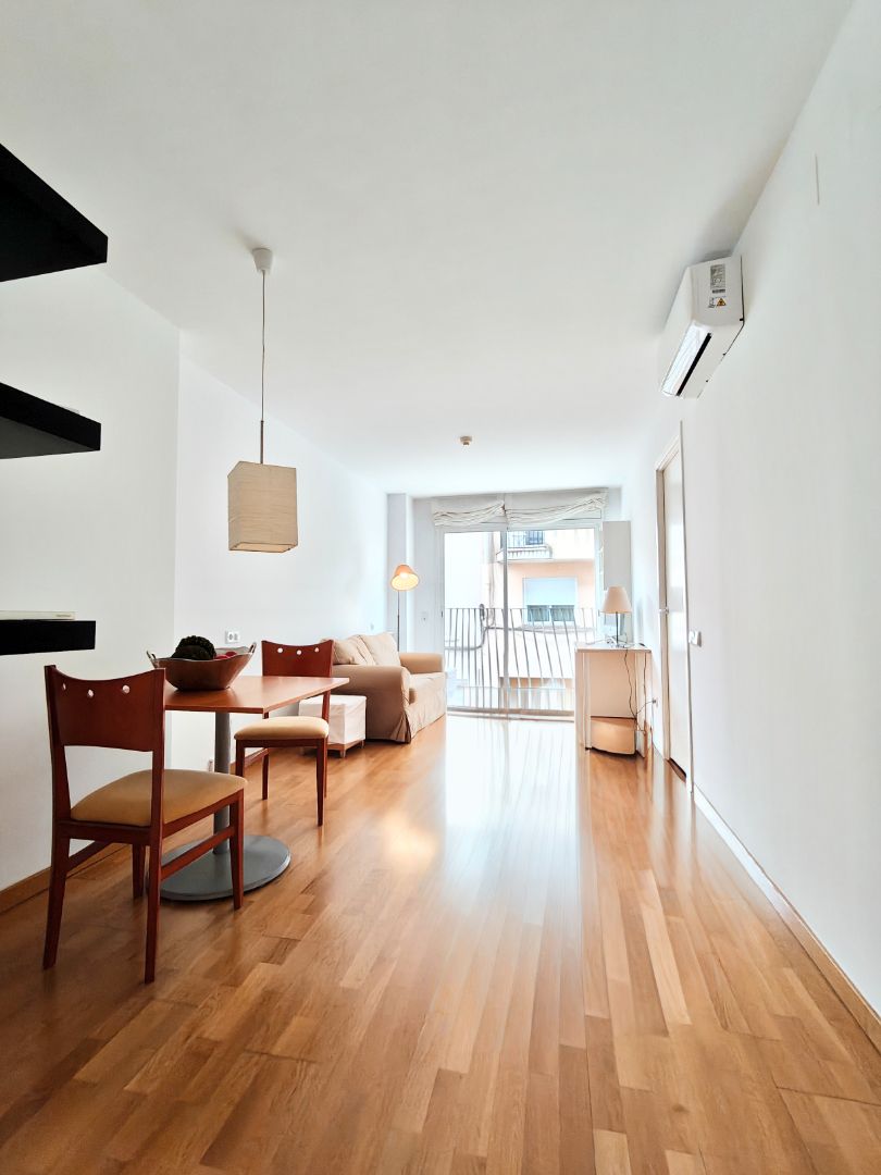 Sala d'estar de Apartament de lloguer en Terrassa amb Moblat