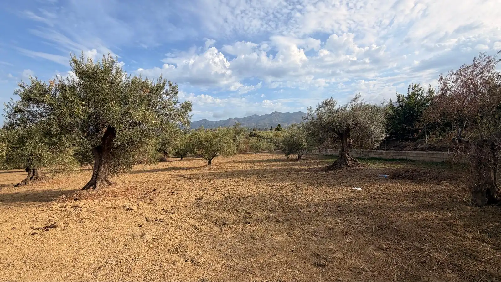 Rural land for sale in El Romeral - Peñón de Zapata, imagen 7