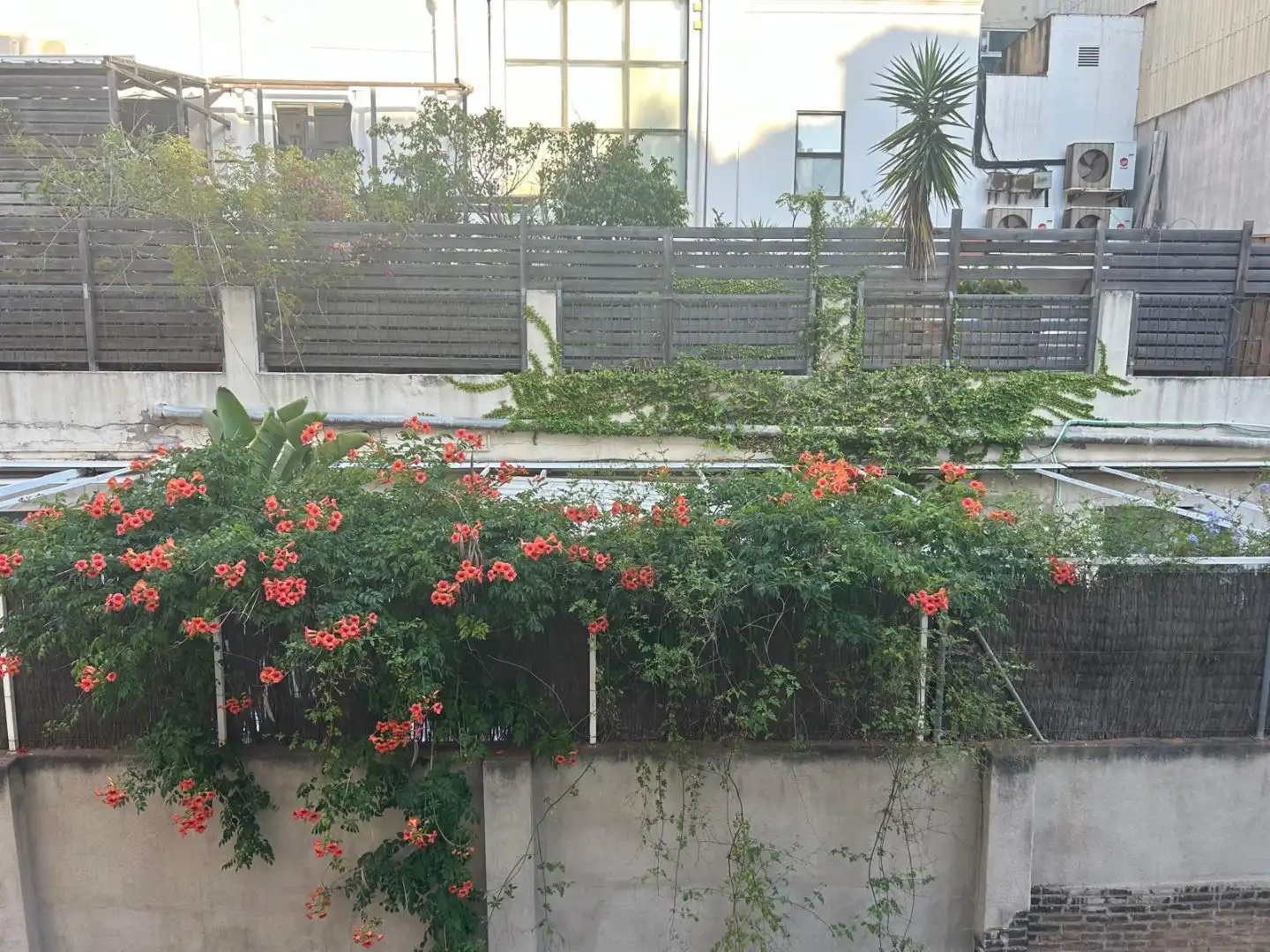 Jardí de Pis de lloguer en  Barcelona Capital amb Aire condicionat i Balcó
