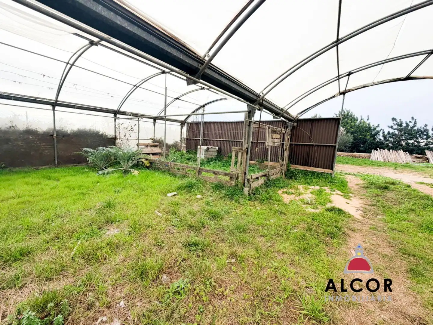 Country house for sale in Alcanar, imagen 4