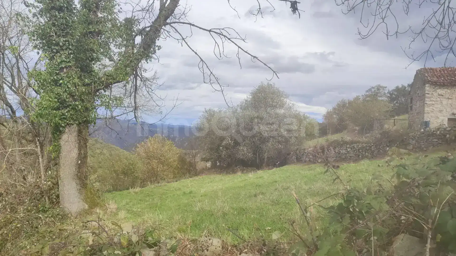 Casa o xalet en venda en Belmonte de Miranda amb Jardí privat