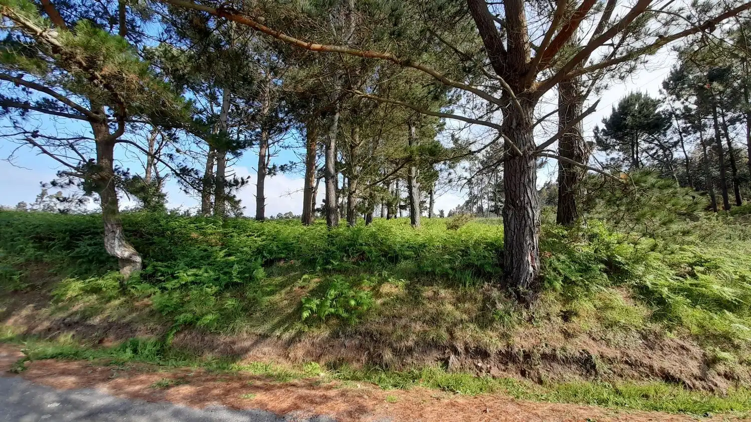 Rural land for sale in Lugar Val Arriba 3, imagen 20