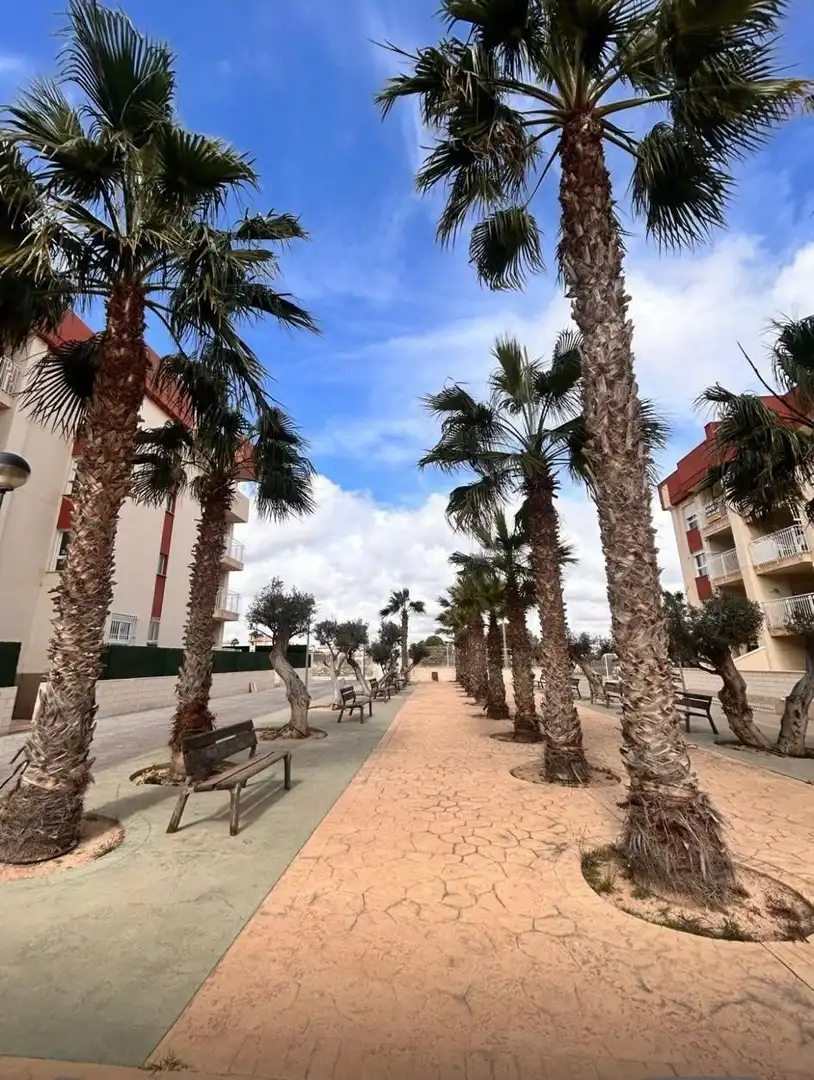 Exterior view of Apartments for sale in Orihuela  with Heating, Private garden and Terrace