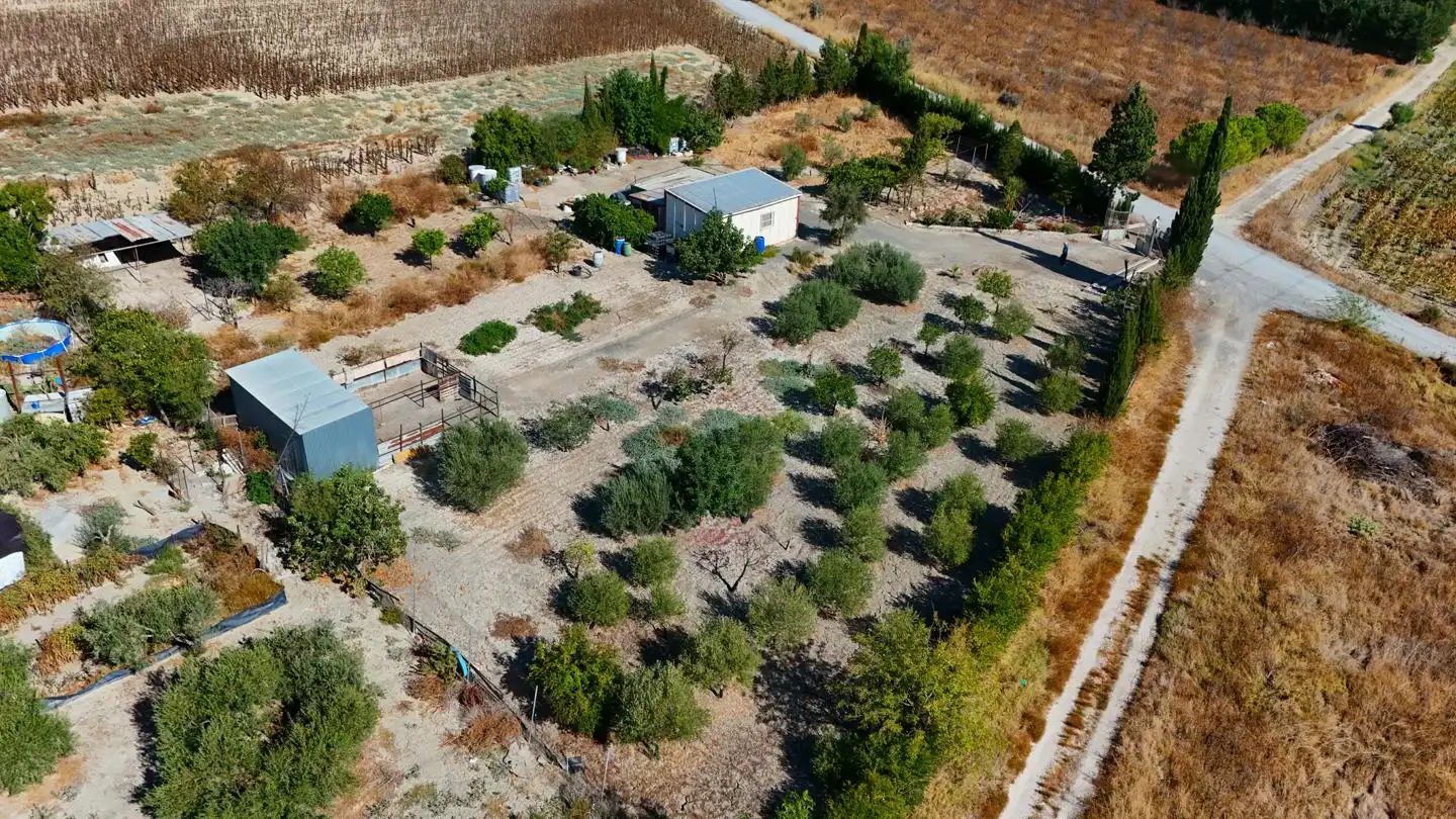 Maison rustique à vendre à Las Cabezas de San Juan, imagen 4
