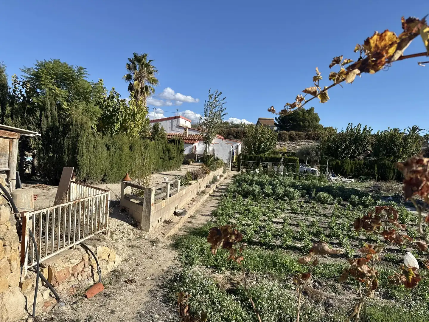 Jardín de Casa o chalet en venta en Novelda con Calefacción, Terraza y Piscina