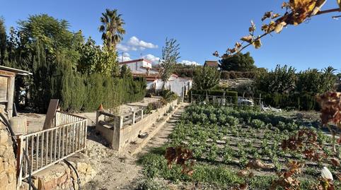 Foto 4 de Casa o chalet en venta en Novelda, Alicante