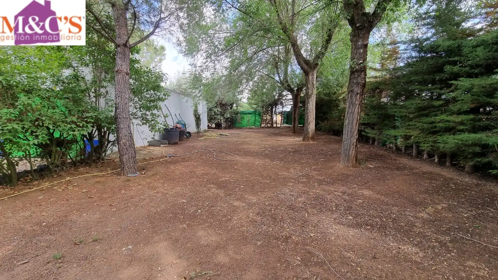 Terreno rustico in vendita a Argamasilla de Calatrava, imagen 6