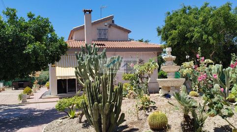 Foto 4 de Finca rústica en venta en Jubalcoi, Elche / Elx