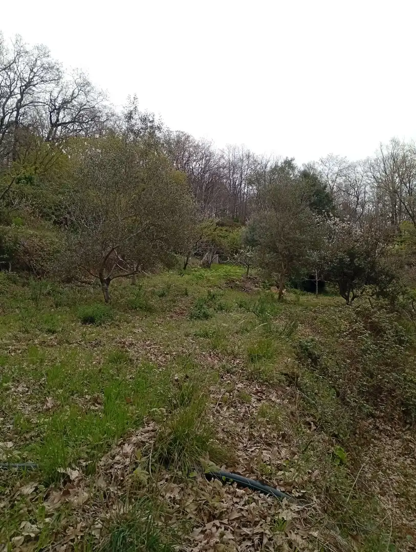 Terreni e lotti in vendita a Valverde de la Vera, imagen 34