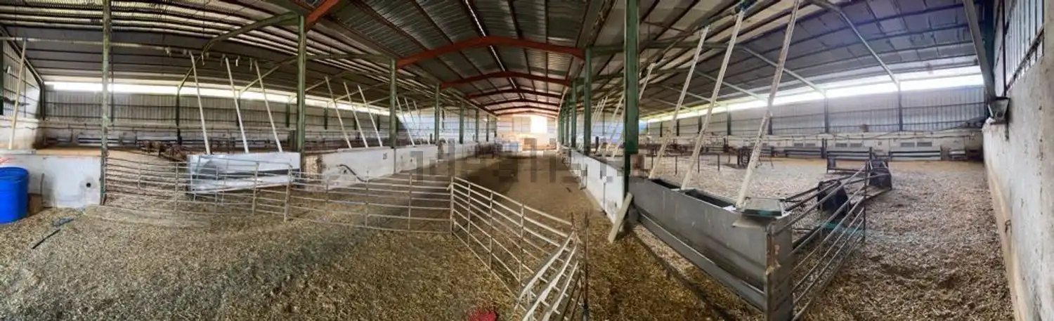 Fabrikhallen zur Miete in El Viso de San Juan