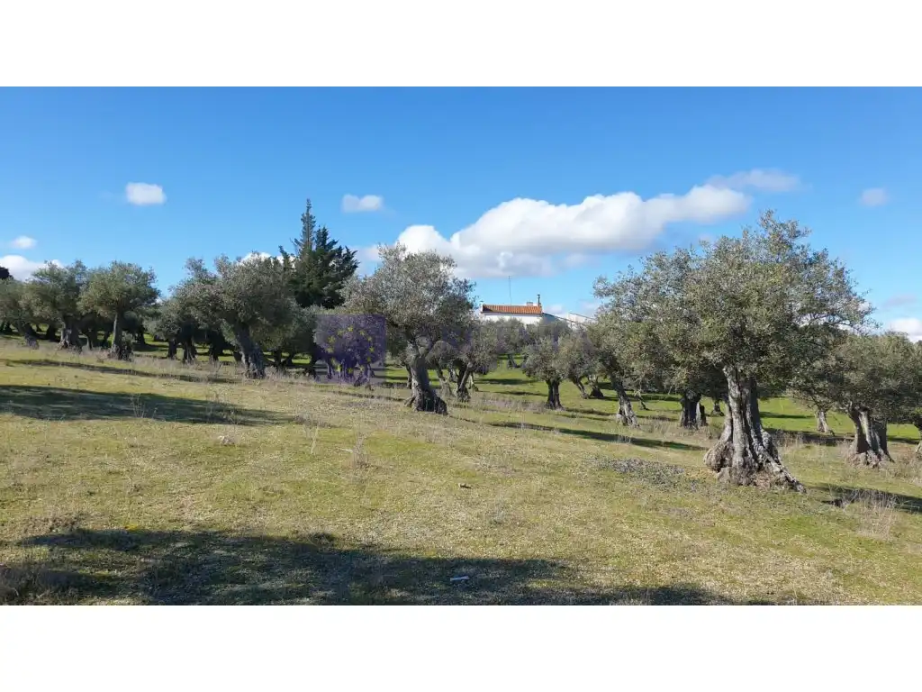 Houses for sale in Diseminados S Miguel, Alcántara