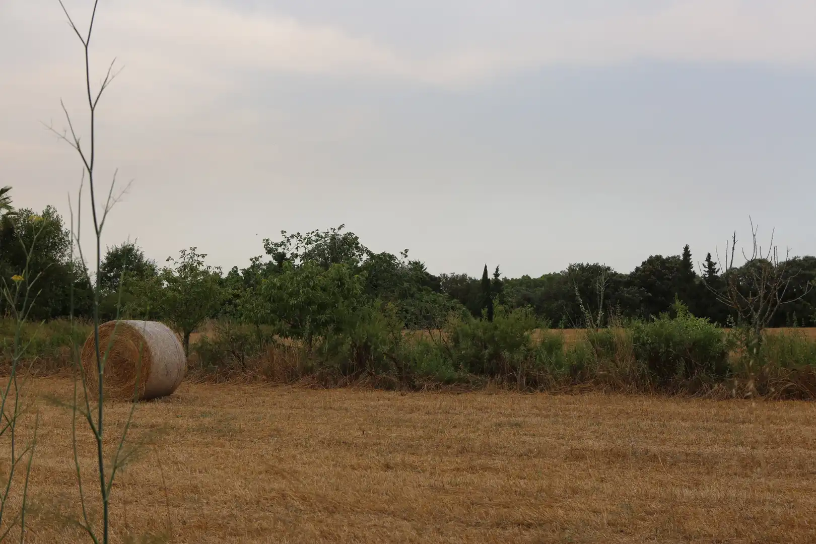 Finca rústica en venda en Begur amb Jardí privat